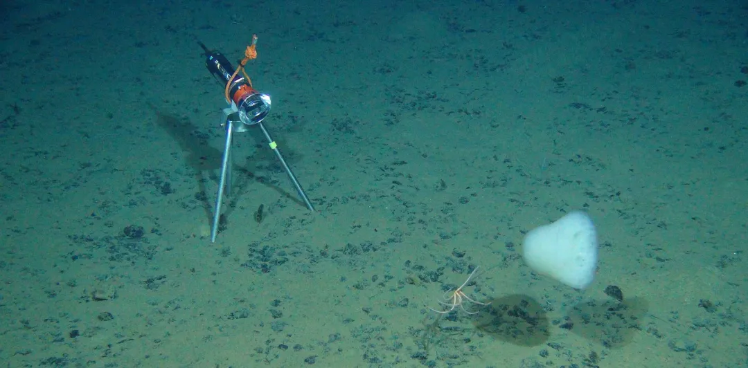 日本深海稀土開采試驗(yàn)戰(zhàn)略動(dòng)向及其影響評估